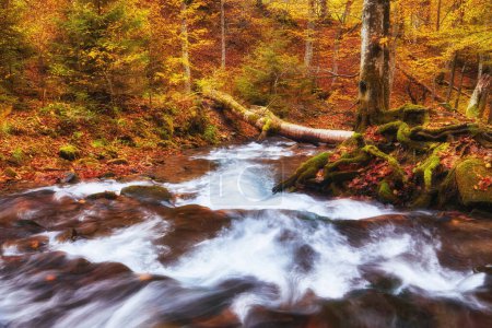 Foto de Un majestuoso río otoñal serpentea con gracia a través de un pintoresco bosque montañoso. Las tranquilas aguas crean una atmósfera serena, reflejando los tonos vibrantes del follaje de otoño circundante. La encantadora combinación de agua corriente, torre - Imagen libre de derechos