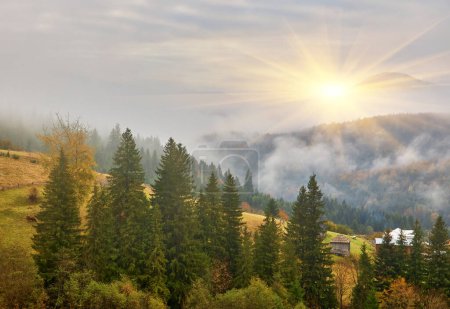 Téléchargez les photos : Alors que la première lueur de l'aube se fait jour, une scène captivante se déroule dans les montagnes d'automne couvertes de brouillard. L'ambiance tranquille est rehaussée par le brouillard éthérée, voilant le paysage dans une allure enchanteresse. - en image libre de droit