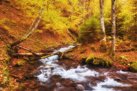 Foto de Un majestuoso río otoñal serpentea con gracia a través de un pintoresco bosque montañoso. Las tranquilas aguas crean una atmósfera serena, reflejando los tonos vibrantes del follaje de otoño circundante. La encantadora combinación de agua corriente, torre - Imagen libre de derechos