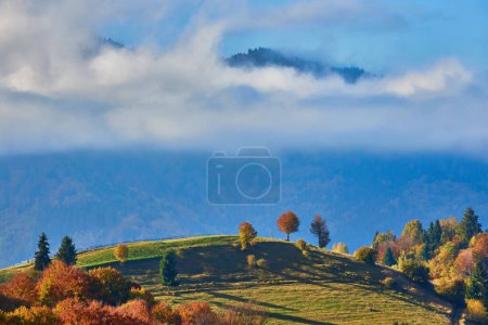 Photo for Step into a world of enchantment as you behold the splendor of autumn in the Carpathian Mountains. Majestic peaks rise majestically against a backdrop of vibrant foliage, creating a mesmerizing tapestry of colors. Shades of crimson, amber, and gold d - Royalty Free Image