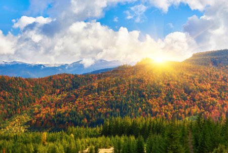 Behold the mesmerizing tapestry of autumn in the Carpathian Mountains. Majestic peaks stand proudly, surrounded by a vibrant kaleidoscope of foliage. Shades of red, orange, and gold paint the landscape, creating a breathtaking symphony of colors.