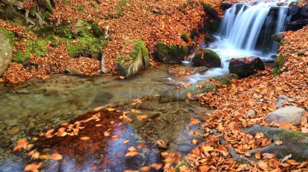 Foto de Un estrecho río de montaña fluye rápidamente a través de un cautivador bosque de hayas de otoño, creando una escena fascinante. Los colores vibrantes del otoño se reflejan en las aguas brillantes, rodeadas de escarpados acantilados. - Imagen libre de derechos