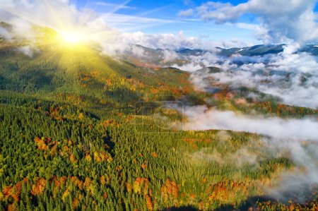 Photo for Aerial view of mountains at sunrise in autumn in Ukraine. Colorful landscape with mountain road, forest, houses on the hills, sunlight, sky in fall. - Royalty Free Image