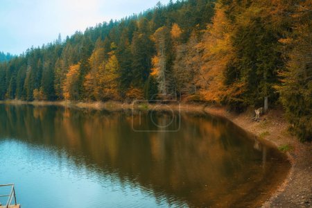 Foto de Lake in mystery fog with autumn forest. Ghostly mountain lake. Ukrainian lake Synevir - Imagen libre de derechos