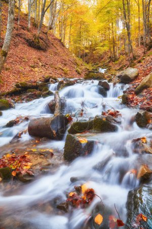 Foto de Sereno río sereno serpentea graciosamente su camino a través de un encantador bosque de otoño. - Imagen libre de derechos