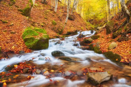 Foto de Río serpentea graciosamente su camino a través de un encantador bosque de otoño. - Imagen libre de derechos