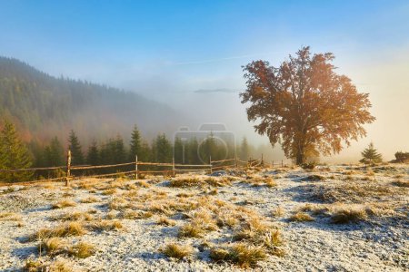 Photo for A serene autumn morning unveils the first snow, showcasing a solitary tree against mist-covered mountains. Delight in the tranquil beauty and harmonious colors - Royalty Free Image