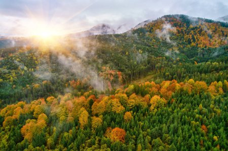 Foto de La niebla se extiende sobre las montañas al amanecer. El sol sale en el horizonte. Los Cárpatos Ucranianos por la mañana. Vista aérea del dron. - Imagen libre de derechos
