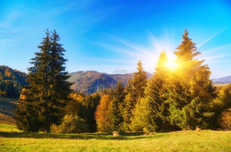 Téléchargez les photos : Carpates Peaks ornés de la palette vibrante de la nature. - en image libre de droit