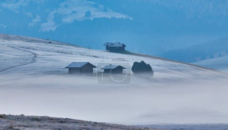 Téléchargez les photos : Belle vue sur les chalets traditionnels de montagne en bois sur la pittoresque Alpe di Siusi avec les célèbres sommets montagneux Langkofel en arrière-plan en lumière du matin doré au lever du soleil, Dolomites, Tyrol du Sud, Italie - en image libre de droit