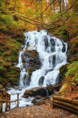 Téléchargez les photos : Belle cascade Shipot dans la forêt d'automne des Carpates - en image libre de droit