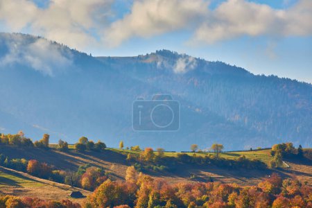 Photo for A Majestic Landscape: Yellow Leaves, Coniferous and Deciduous Forests Surround a Peaceful Village in an Autumn Morning in the Mountains - Royalty Free Image