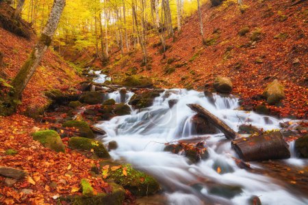 Photo for Serene river gracefully winds its way through an enchanting autumn forest. The vibrant colors of the foliage create a breathtaking tapestry, while the soothing sound of the flowing water sets a peaceful ambiance. - Royalty Free Image