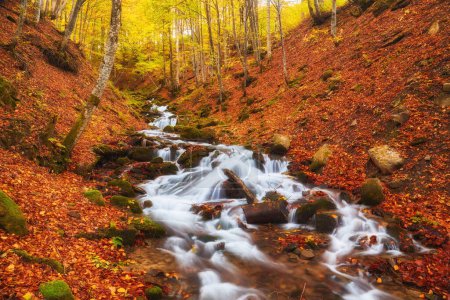 Téléchargez les photos : Rivière sereine serpente gracieusement son chemin à travers une forêt d'automne enchanteresse. Les couleurs vibrantes du feuillage créent une tapisserie à couper le souffle - en image libre de droit