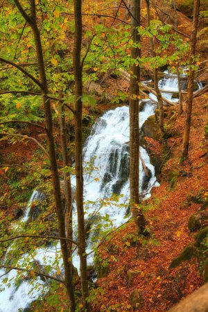 Téléchargez les photos : Rivière sereine serpente gracieusement son chemin à travers une forêt d'automne enchanteresse. - en image libre de droit