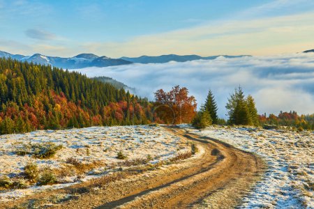 Foto de Una serena mañana de otoño desvela la primera nieve, mostrando un árbol solitario contra montañas cubiertas de niebla. Deléitese con la belleza tranquila y colores armoniosos - Imagen libre de derechos