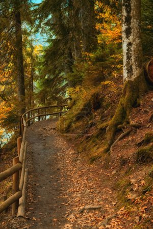 Herbstlicher Waldweg, der sich entlang eines malerischen Sees schlängelt. Der Holzzaun führt Ihre Schritte anmutig