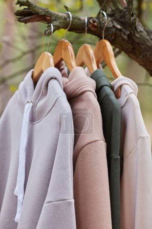 Several multicolored hoodies hang on hangers in a tree. Demonstration of different colors of clothes