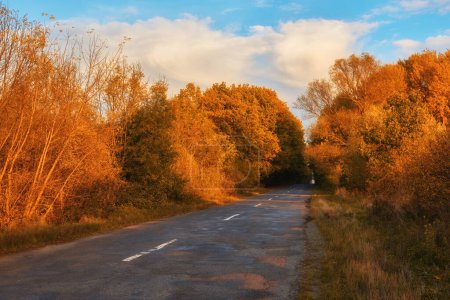 Photo for Asphalted old road that winds through a mesmerizing yellow autumn forest, tranquil road - Royalty Free Image