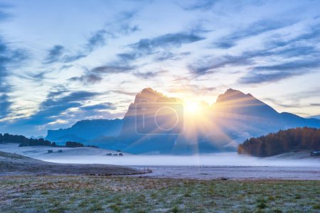 Téléchargez les photos : Belle lumière du matin sur les sommets de Langkofel, Alpe di Siusi, Italie, Europe - en image libre de droit