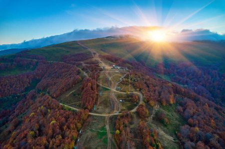 Téléchargez les photos : Vue aérienne des drones sur la forêt d'automne. Arbres colorés dans le bois. Fond d'automne, vue aérienne de drone de beau paysage forestier avec des arbres d'automne d'en haut. - en image libre de droit