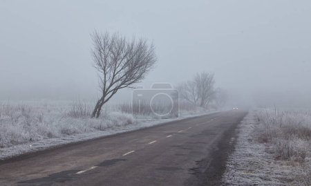 Foto de Mañana de invierno con árboles helados, atmósfera brumosa y un camino de asfalto que desaparece. Un camino de asfalto se extiende en la distancia, desapareciendo en la niebla, añadiendo a la enigmática composición. - Imagen libre de derechos