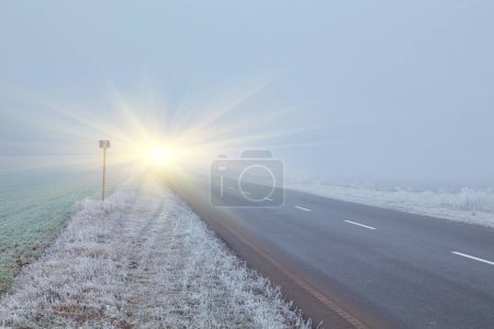 Photo for Winter morning. Fog drifts over trees covered in white frost. A good asphalt road leads into the distance and disappears into the fog. - Royalty Free Image