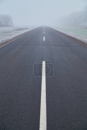 Photo for Winter morning. Fog drifts over trees covered in white frost. A good asphalt road leads into the distance and disappears into the fog. - Royalty Free Image