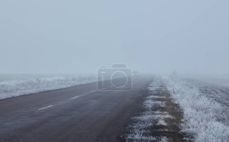Foto de Mañana de invierno con árboles helados, atmósfera brumosa y un camino de asfalto que desaparece. Un camino de asfalto se extiende en la distancia, desapareciendo en la niebla, añadiendo a la enigmática composición. - Imagen libre de derechos