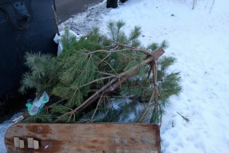 Téléchargez les photos : Une décharge remplie d'arbres de Noël jetés, un spectacle commun après la période des Fêtes. - en image libre de droit