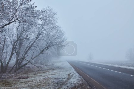 Téléchargez les photos : Matin d'hiver avec des arbres givrés, une atmosphère brumeuse et une route asphaltée qui disparaît. Une route asphaltée s'étend au loin, disparaissant dans la brume, ajoutant à la composition énigmatique. - en image libre de droit