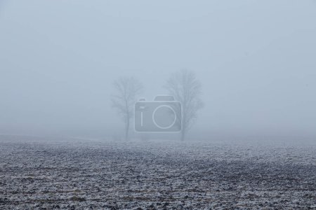 Photo for The mist-covered plowed field stretches into the distance, the earth adorned with frost, creating a serene and enchanting scene. - Royalty Free Image
