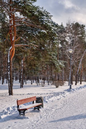 Téléchargez les photos : Bench in park with falling fir and pine trees after sleet load and heavy snow at the background. Snow-covered winter street in a city. Weather forecast concept. Snowy winter. Selective focus. - en image libre de droit