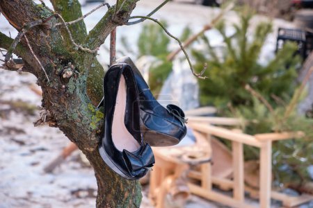Foto de Un par de elegantes zapatos negros de tacón alto para mujer colgando de una rama de árbol - Imagen libre de derechos