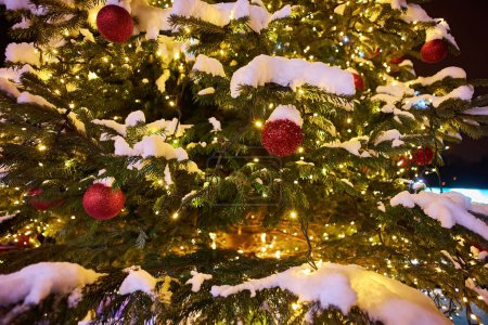 Téléchargez les photos : Décorations de Noël dans une rue de la ville. Branches de sapin et cônes de pin en hiver, célébration du Nouvel An, magie des vacances - en image libre de droit