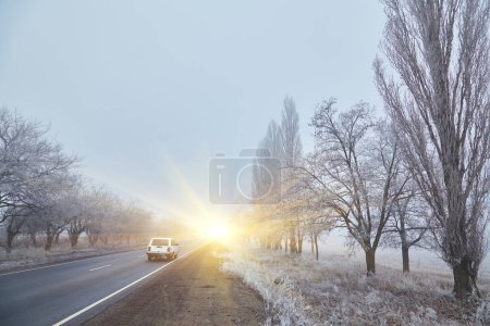 Photo for A car drives along a fog-covered road, coated with a layer of frost, creating an atmosphere of winter mystery and cold. - Royalty Free Image