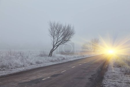 Téléchargez les photos : Le matin d'hiver. Le brouillard dérive sur les arbres couverts de givre blanc. Une bonne route asphaltée mène au loin et disparaît dans le brouillard. - en image libre de droit