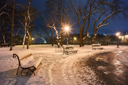 Photo for Winter scene with a bench in the park in the night covered in snow close to a street lamp during a snow - Royalty Free Image