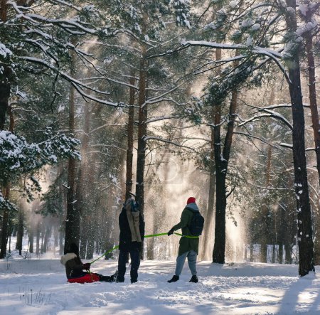 Téléchargez les photos : Les gens drôles dans Winter Park jouer boules de neige, activement passer du temps à l'extérieur. Forêt enneigée d'hiver. Froid temps de gel. - en image libre de droit
