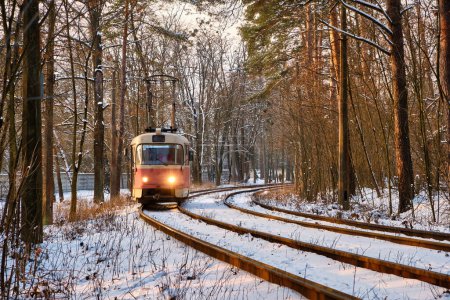 Foto de Una fascinante escena invernal como un vibrante tranvía rojo se abre camino a través de un bosque cubierto de nieve. El contraste del tranvía carmesí con el paisaje blanco es realmente cautivador. - Imagen libre de derechos