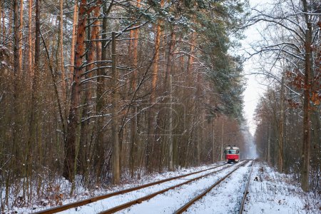 Téléchargez les photos : Une scène hivernale envoûtante comme un tram rouge vif se fraye un chemin à travers une forêt enneigée. Le contraste entre le tramway pourpre et le paysage blanc est vraiment captivant. - en image libre de droit