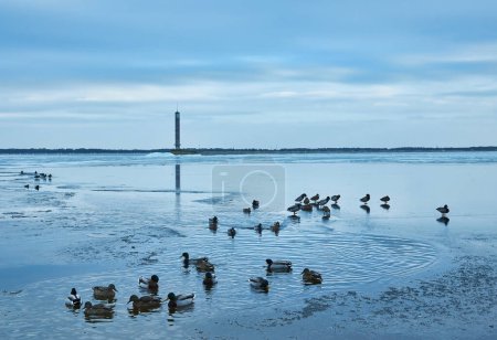 Photo for A serene winter landscape featuring a frozen reservoir covered in striking blue ice, with a picturesque lighthouse and ducks gracefully gliding on the icy surface - Royalty Free Image