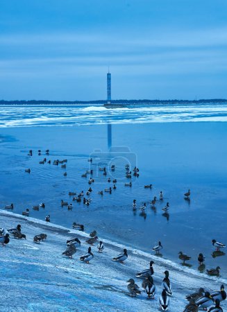 Foto de Un paisaje invernal sereno con un embalse congelado cubierto de llamativo hielo azul, con un pintoresco faro y patos deslizándose con gracia sobre la superficie helada - Imagen libre de derechos