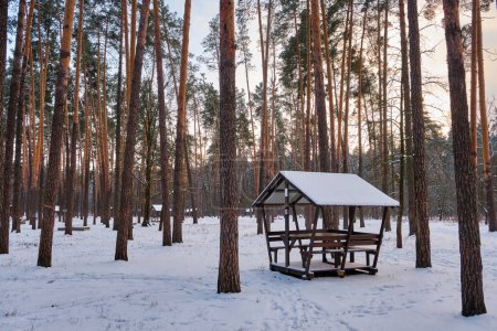 Téléchargez les photos : Une scène pittoresque d'un charmant belvédère en bois niché dans une forêt d'hiver sereine, recouvert de neige immaculée. Une retraite hivernale tranquille au cœur de la nature - en image libre de droit
