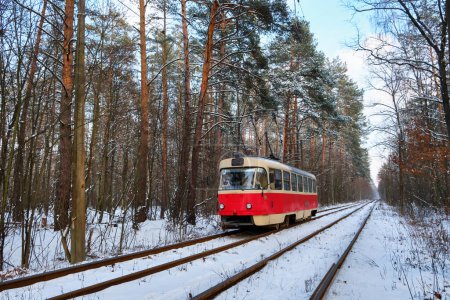 Téléchargez les photos : Un paysage hivernal serein avec un tram rouge saisissant qui traverse une forêt tranquille et enneigée. L'harmonie de la nature avec l'ingénierie humaine - en image libre de droit