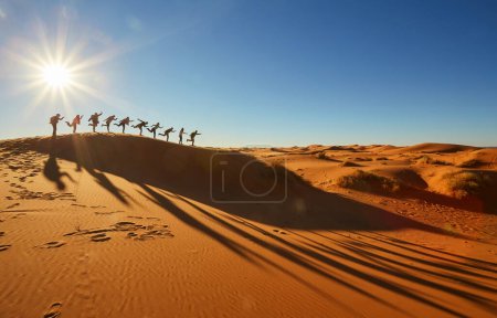 Foto de Los turistas disfrutan de momentos lúdicos en el desierto del Sahara, capturando la risa y la alegría en medio de los cautivadores paisajes. Silueta contra los tonos cálidos del sol poniente. - Imagen libre de derechos