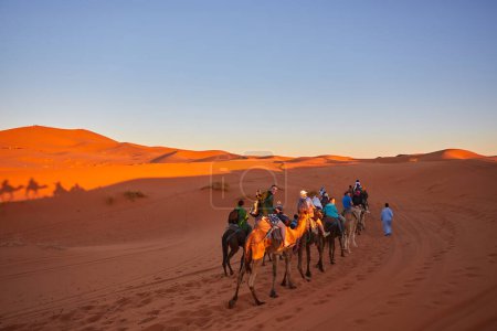 Photo for Experience the tranquility of the Sahara Desert as tourists enjoy a delightful camel trek through its mesmerizing dunes in Morocco. - Royalty Free Image