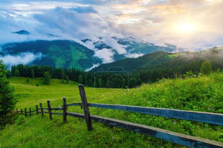 Photo for Lanscape view of yellow green meadow on the hill with old fence, rye field and mountains in the background at sunrise mountains in the background with morning fog - Royalty Free Image