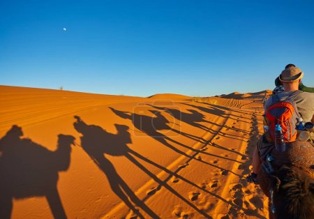 Photo for A group of cheerful tourists embarks on a camel safari, exploring the enchanting Sahara Desert in Morocco - Royalty Free Image