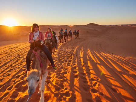 Téléchargez les photos : Un groupe de touristes joyeux embarque sur un safari chameau, explorant le désert du Sahara enchanteur au Maroc - en image libre de droit